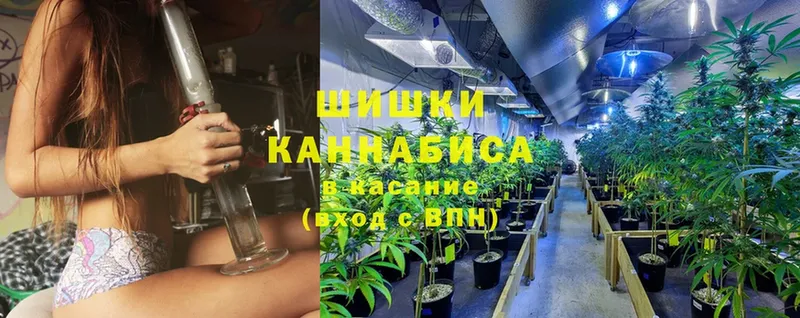 купить наркоту  Кандалакша  мориарти состав  МАРИХУАНА LSD WEED 